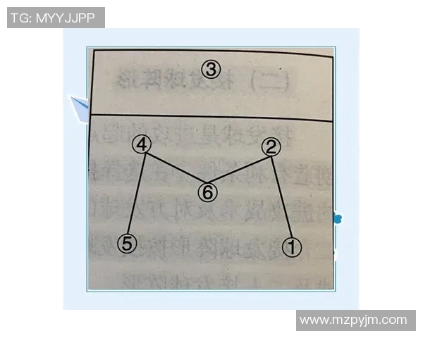 深圳排球队的反击战术解析与深度剖析排球竞技的魅力与挑战